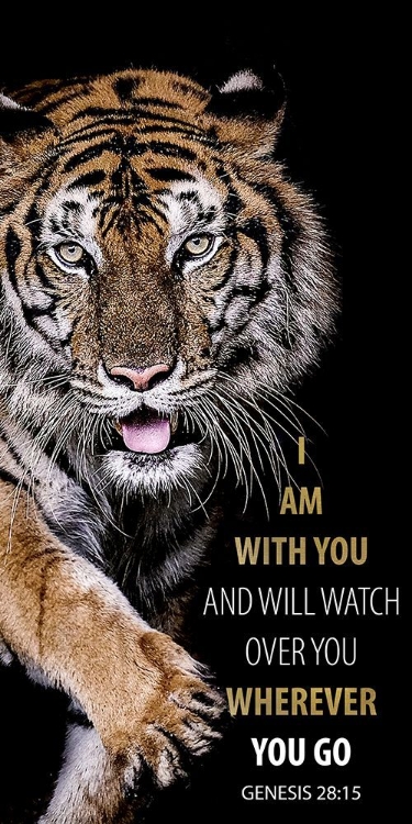 Picture of I AM WITH YOU TIGER