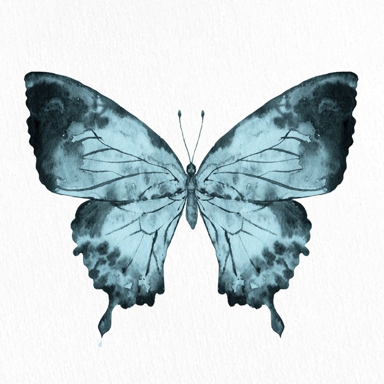 Picture of BUTTERFLY PRINT 1