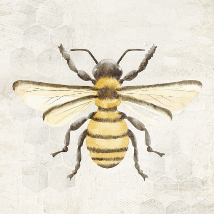 Picture of HONEYBEE 1