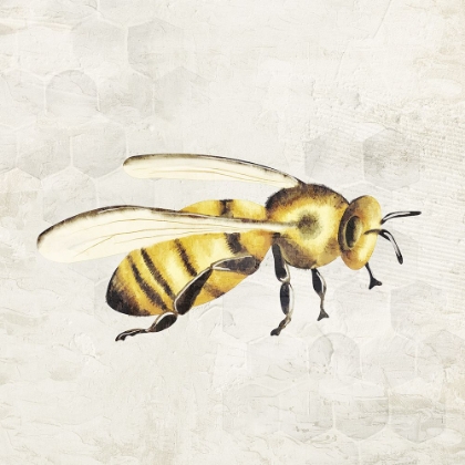 Picture of HONEYBEE 2