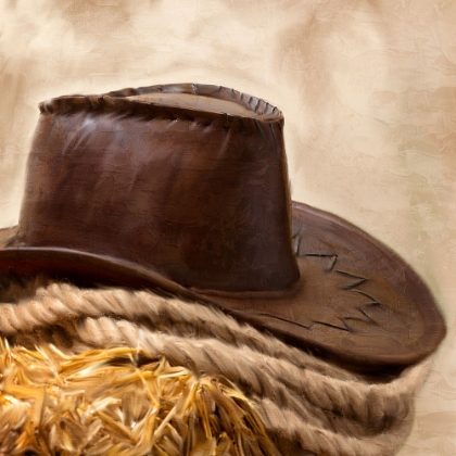 Picture of COWBOY HAT AND ROPE