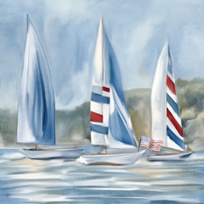 Picture of USA SAIL 1