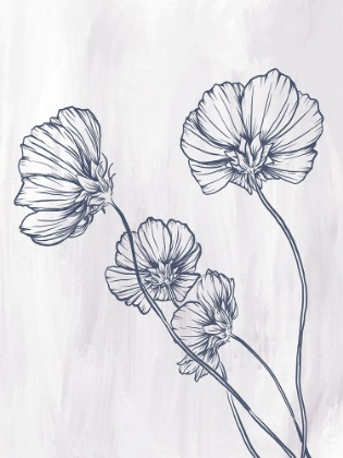 Picture of FLOWER SKETCH 2