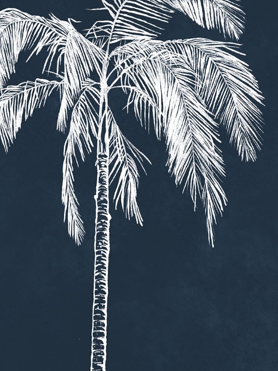 Picture of BLUE PALM