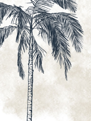 Picture of CREAM PALM