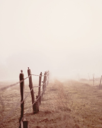 Picture of BEAUTIFUL MEADOW PATH WITH OLD FENCE