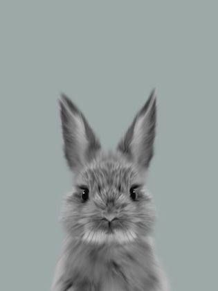 Picture of SAGE BUNNY