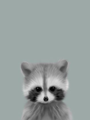 Picture of SAGE RACOON