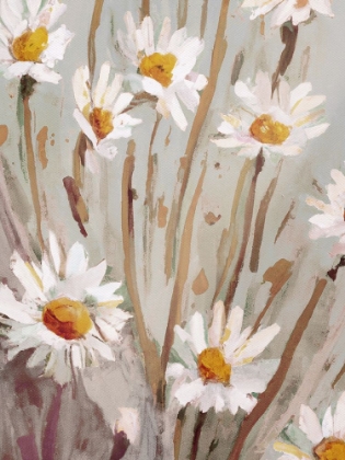 Picture of SUNNY DAISIES