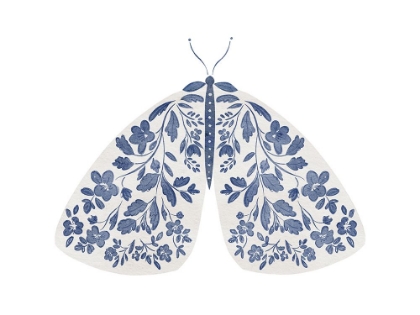 Picture of BLUE AND WHITE MOTH