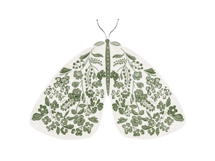 Picture of GREEN AND WHITE MOTH