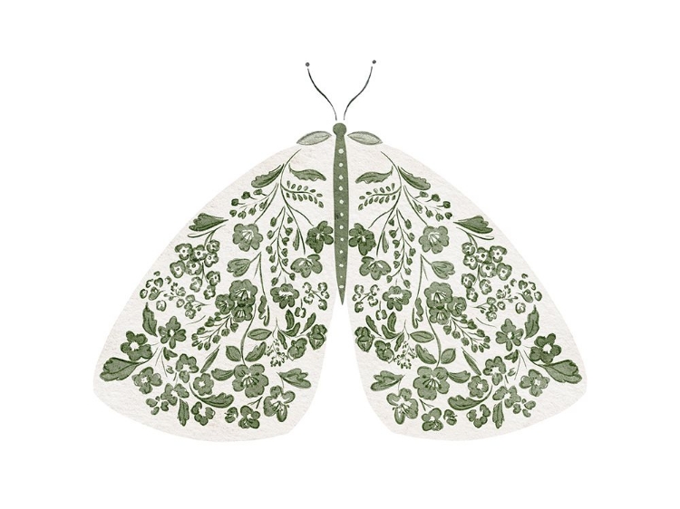 Picture of GREEN AND WHITE MOTH