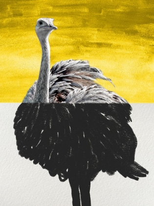 Picture of DIVIDED OSTRICH 1