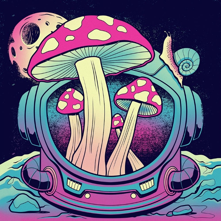 Picture of SPACE FUNGI