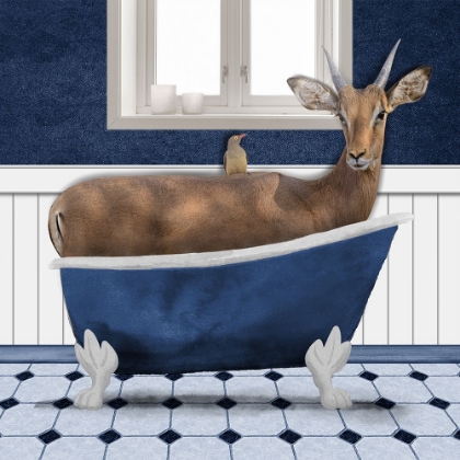 Picture of BATHING IMPALA