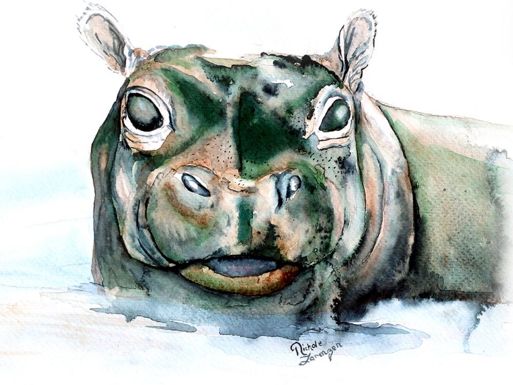 Picture of ZOO ANIMAL HIPPO