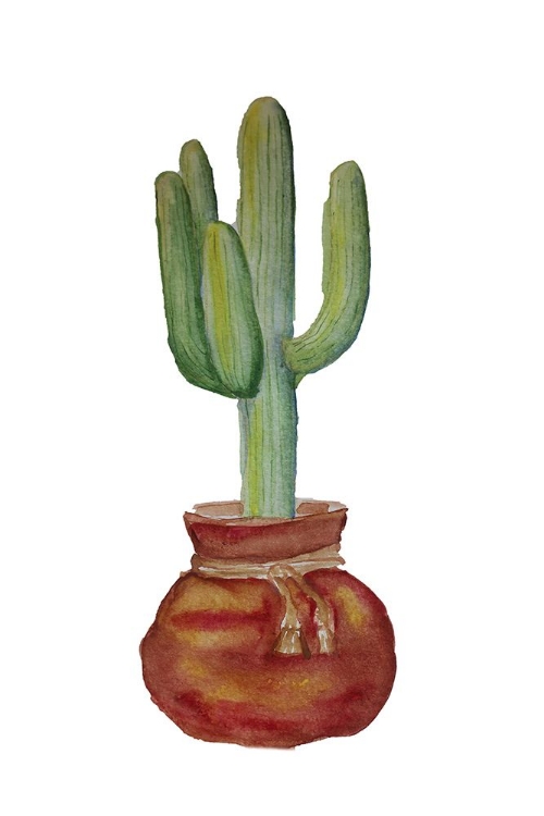 Picture of CACTUS TALL