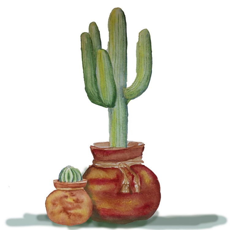 Picture of CACTI PAIR