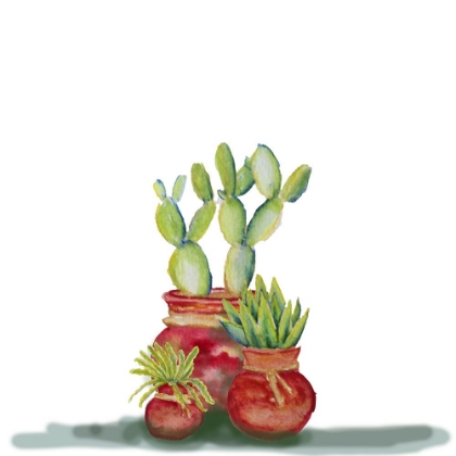 Picture of CACTI SET OF 3