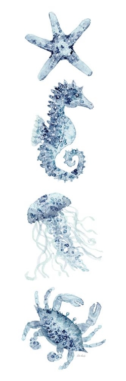 Picture of BLUE SEAHORSE CRAB 1