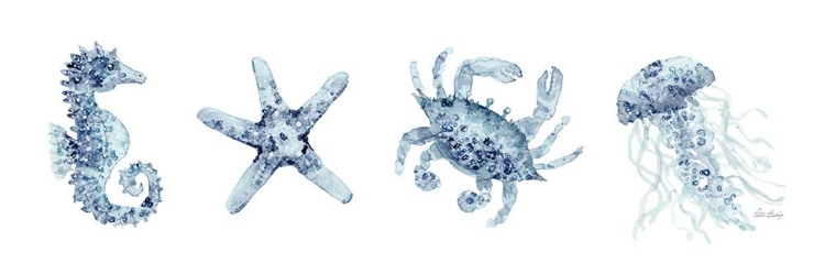 Picture of BLUE SEAHORSE CRAB 2