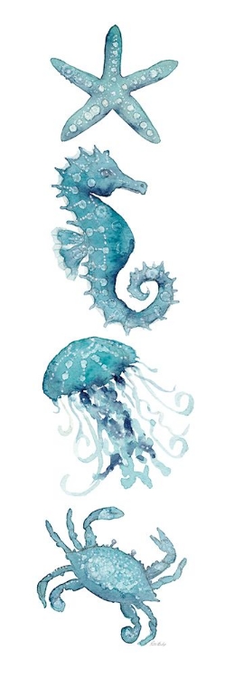 Picture of TEAL STARFISH SEAHORSE 1