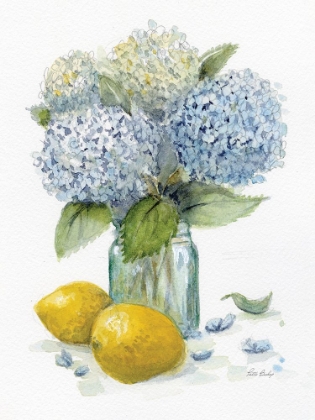 Picture of HYDRANGEA LEMONS 1