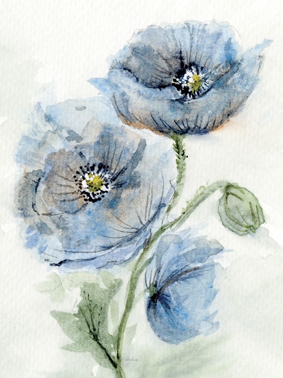 Picture of BLUE POPPY 1