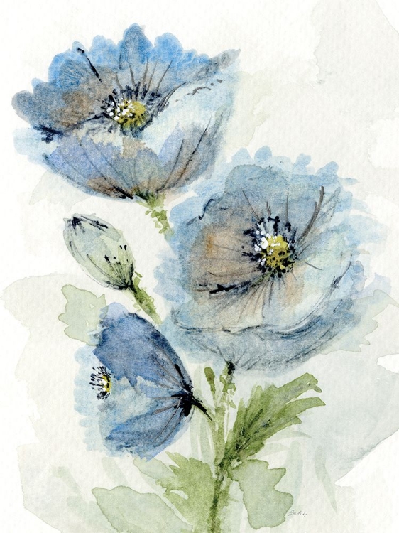 Picture of BLUE POPPY 2