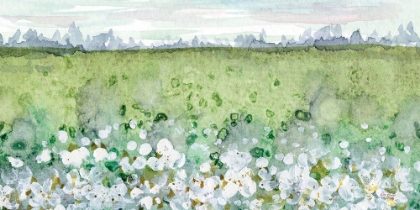 Picture of ABSTRACT WHITE FIELD 3