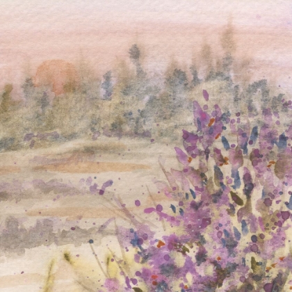 Picture of LAVENDAR FLOWERS LANDSCAPE