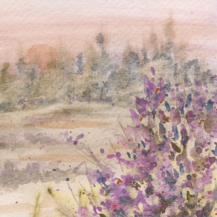 Picture of LAVENDAR FLOWERS LANDSCAPE