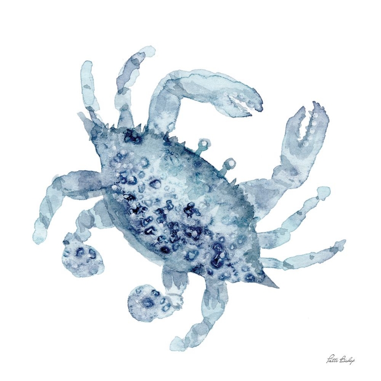 Picture of BLUE CRAB