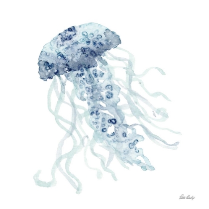 Picture of BLUE JELLY FISH