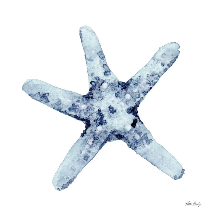 Picture of BLUE STARFISH