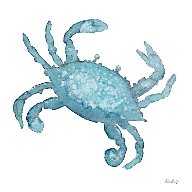 Picture of TEAL CRAB