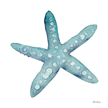 Picture of TEAL STARFISH