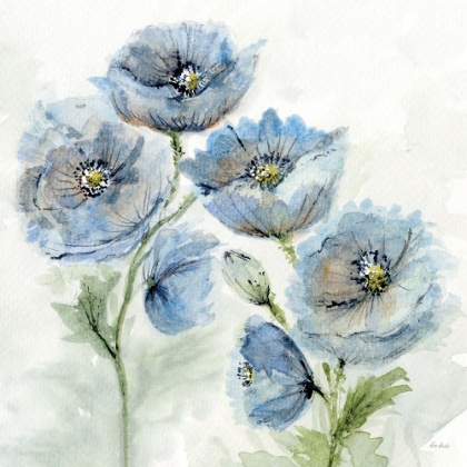 Picture of BLUE POPPY 4