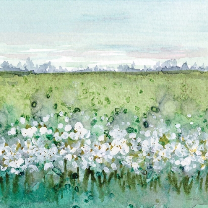 Picture of ABSTRACT WHITE FIELD 1