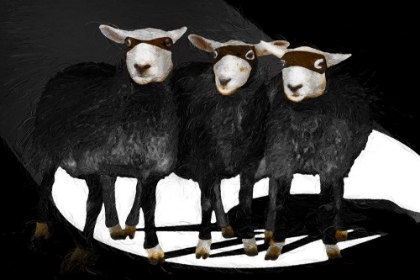 Picture of NINJA SHEEP