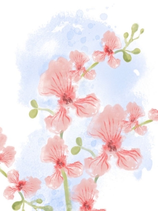 Picture of ABSTRACT FLORAL PASTEL ORCHIDS