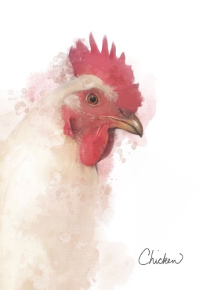 Picture of FARM CHICKEN