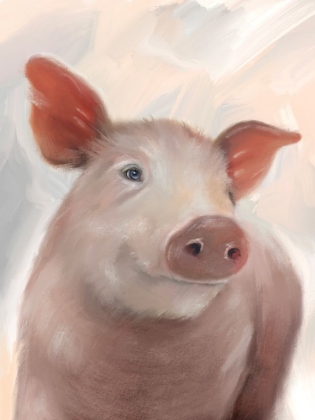 Picture of FARM PIG