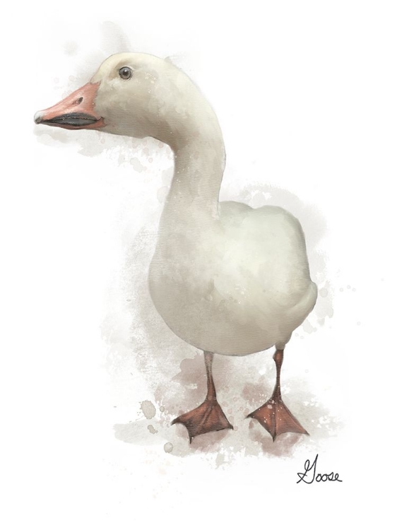 Picture of FARM GOOSE