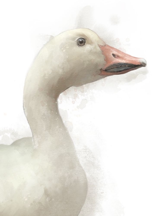 Picture of FARM GOOSE 2