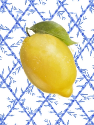 Picture of PROVIDENCE LEMON CHINOISERIE 3