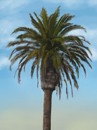 Picture of PALM TREE