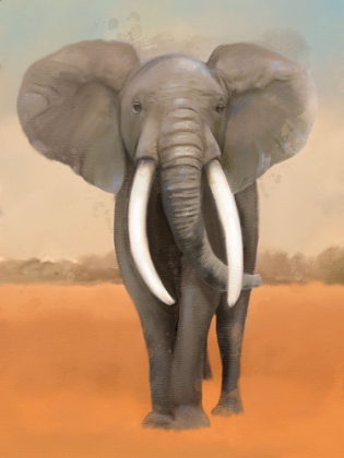 Picture of AFRICAN ANIMAL ELEPHANT LANDSCAPE