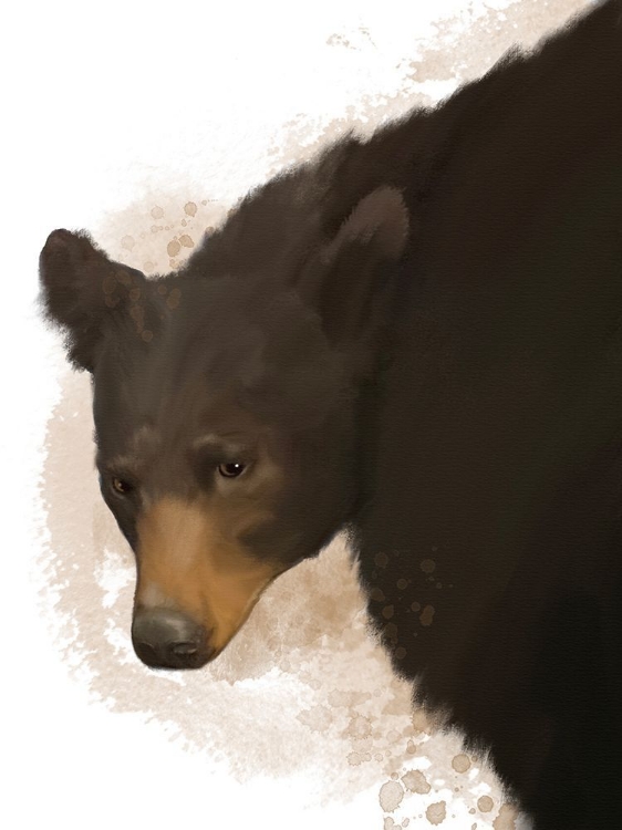 Picture of ANIMAL BEAR