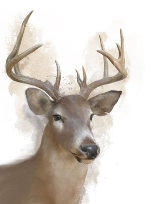 Picture of ANIMAL DEER